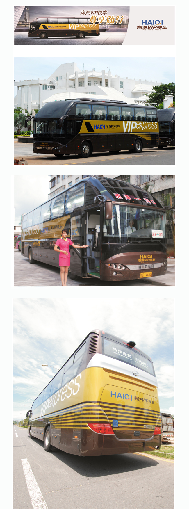 ϹNGVIP쳵1.jpg